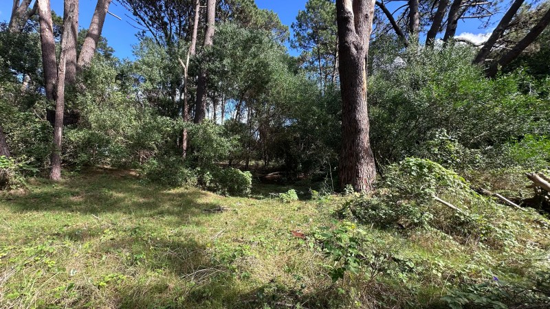 Lote en venta en La Reserva de Montoya